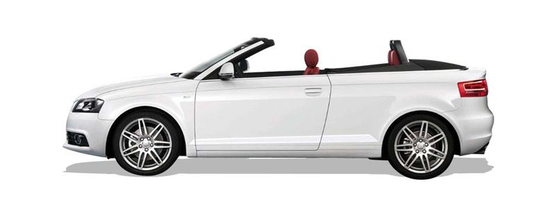 AUDI A3 Cabriolet Einspritzdusen