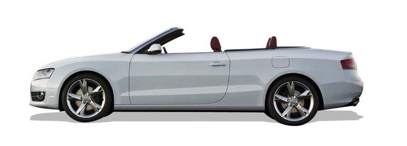 AUDI A5 Cabriolet Einspritzdusen