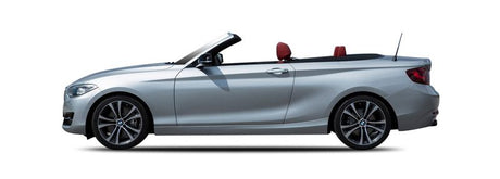 BMW 2 Cabriolet Einspritzdusen
