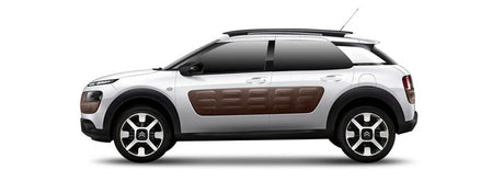 CITROËN C4 CACTUS NOx-Sensoren