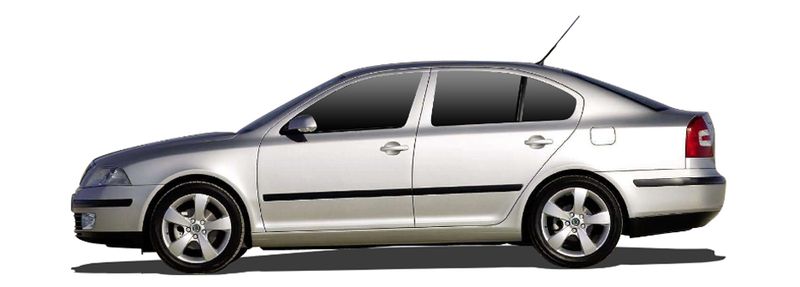 SKODA OCTAVIA II Einspritzdusen