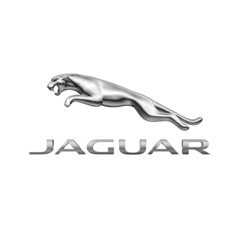 JAGUAR Einspritzdusen